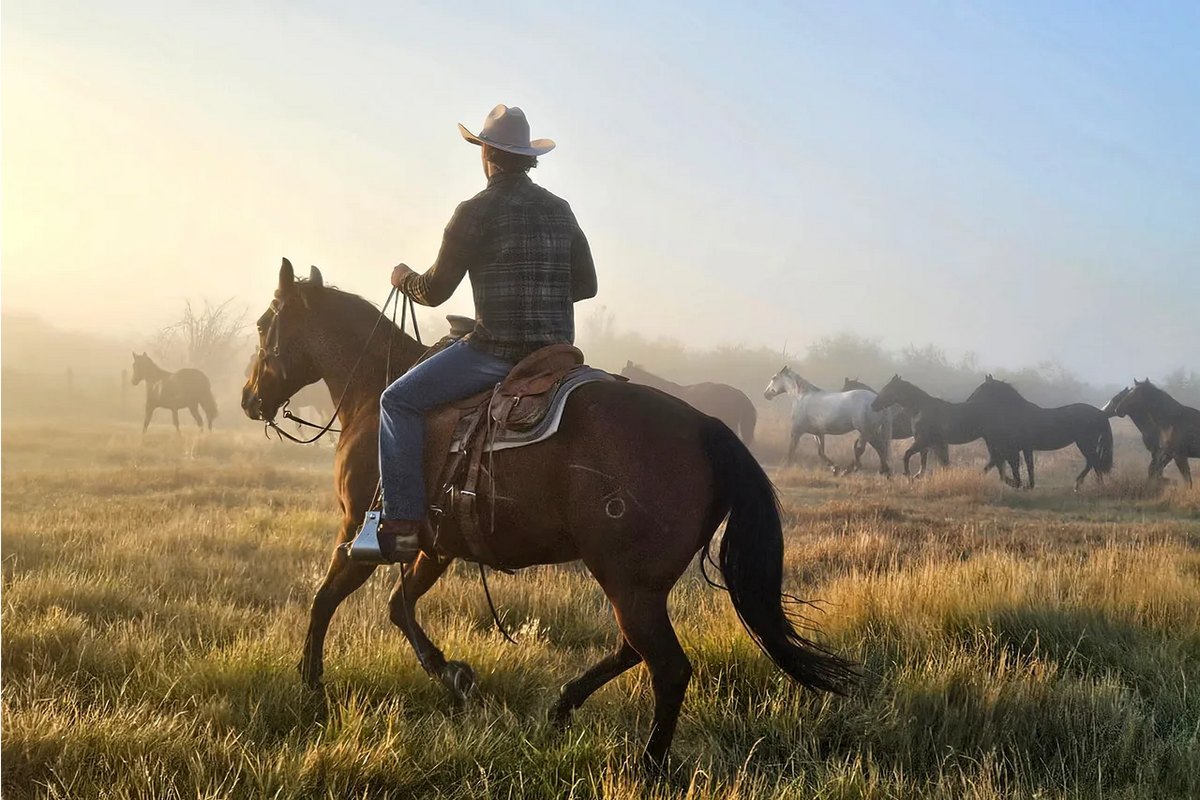 Yellowstone Show to End: Will the Franchise Expand?