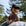 Woman wearing a black cowboy hat and brown top sitting on a horse with trees in the background
