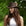 Woman wearing a brown leather hat with a decorative feather against a green leafy background