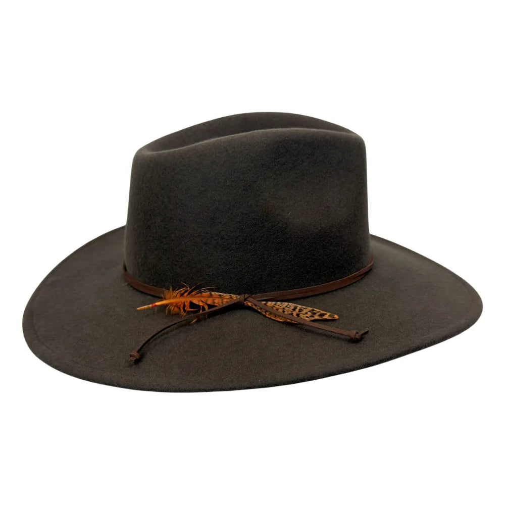 A dark brown felt cowboy hat with a brown leather band and decorative brown feather accents, shown against a plain white background.
