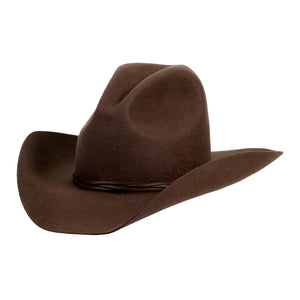 A classic brown felt cowboy hat with a wide brim and a matching brown band, shown from a three-quarters angle on a solid white background.